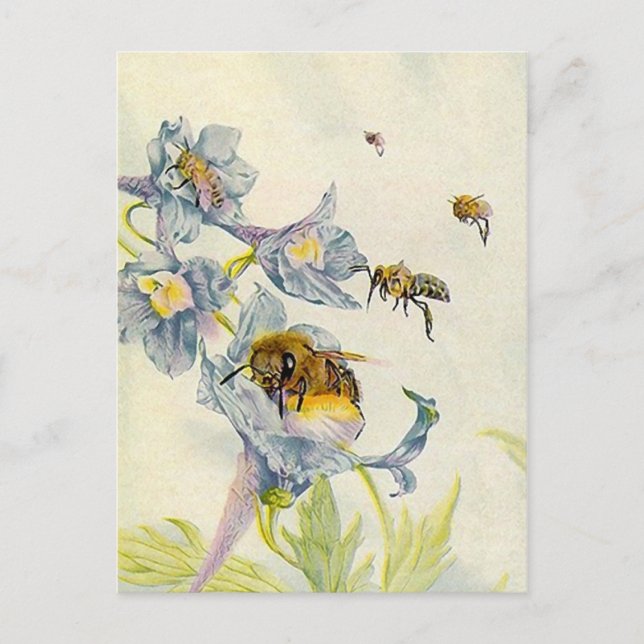 LOVELY HONEYBEES NATURBEEKEEPERS HONEY POSTCARDS POSTKARTE (Vorderseite)