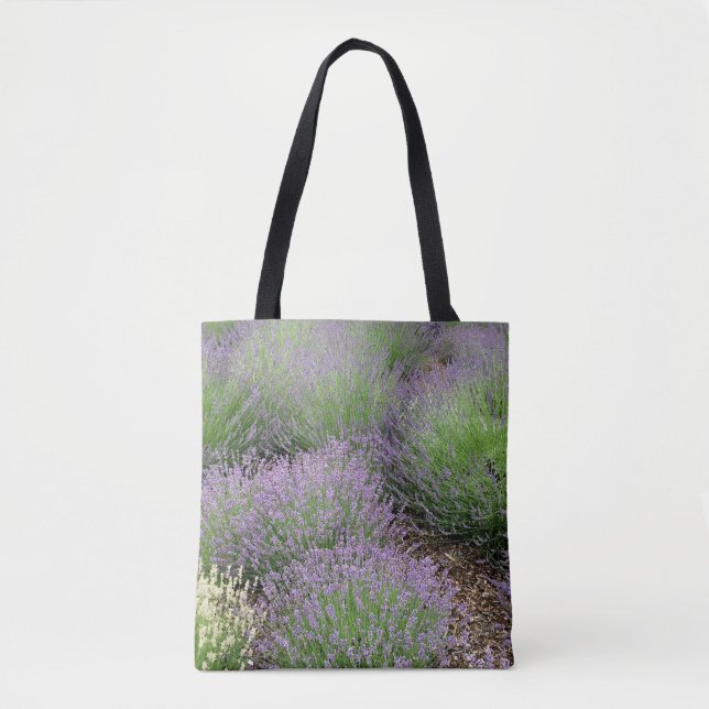 Lovely Lavender (Vorderseite)