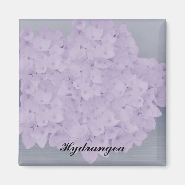Lovely Lavender Hydrangea Magnet (Vorne)