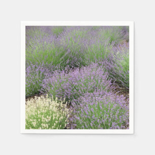Lovely Lavender Serviette