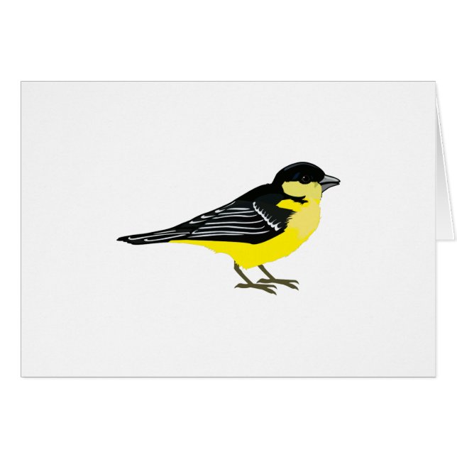 Lovely Lesser Goldfinch (Vorderseite (Horizontal))