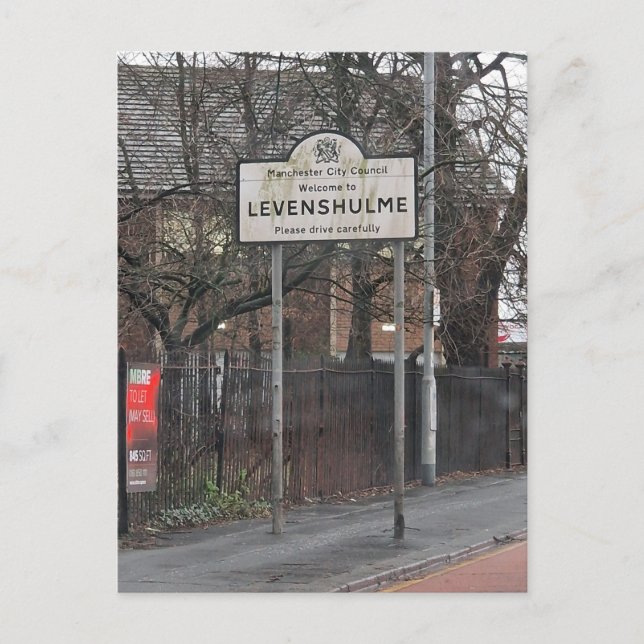 Lovely Levy Postkarte (Vorderseite)