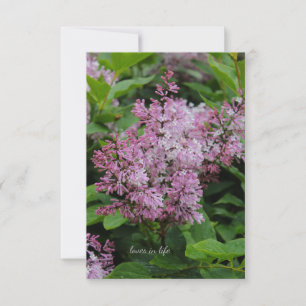 Lovely Lilac Mitteilungskarte