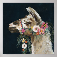 Lovely Llama
