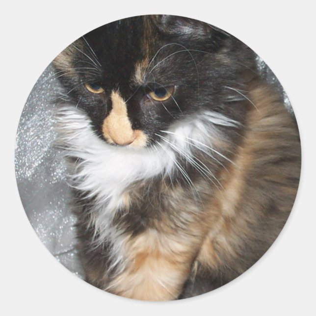 Lovely Lucy Bell Runder Aufkleber (Vorderseite)