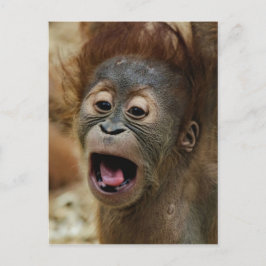 Lovely Orang baby Postkarte