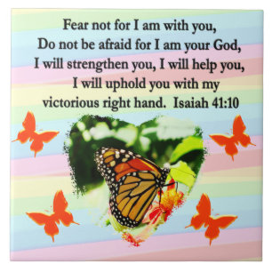 LOVELY ORANGE BUTTERFLY ISAIAH 41:10 DESIGN FLIESE
