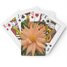 Lovely Orange Dahlia Blume Floral