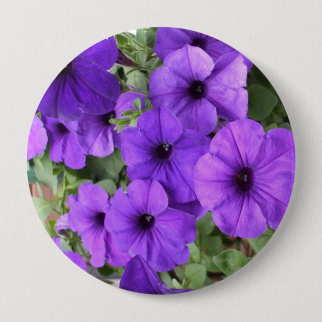 Lovely Petunias Button (Vorderseite)