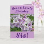 Lovely Pink Floral Birthday Card for Sis Karte<br><div class="desc">Floral birthday card for Sis featuring beautiful purple Primula flowers. Text can easily be personalised as wished.</div>