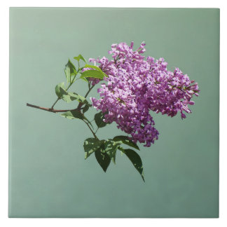 Lovely Purple Lilacs Fliese