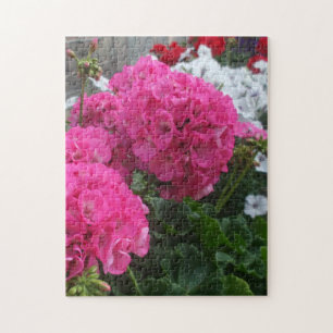Lovely Red Geraniums Puzzle