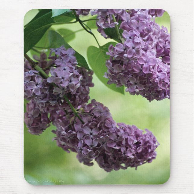 Lovely Spring Mousepad (Vorne)