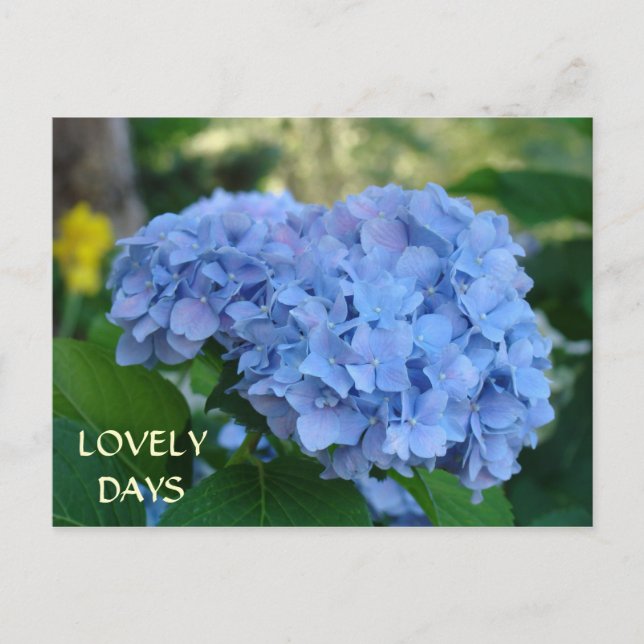 LOVELY TAG in der LIEBE! Postkarten Valentinstag (Vorderseite)
