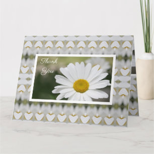 Lovely White Daisy Karte
