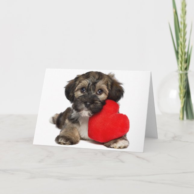 Lover Valentine Havanese Puppy Dog Feiertagskarte (Vorderseite)