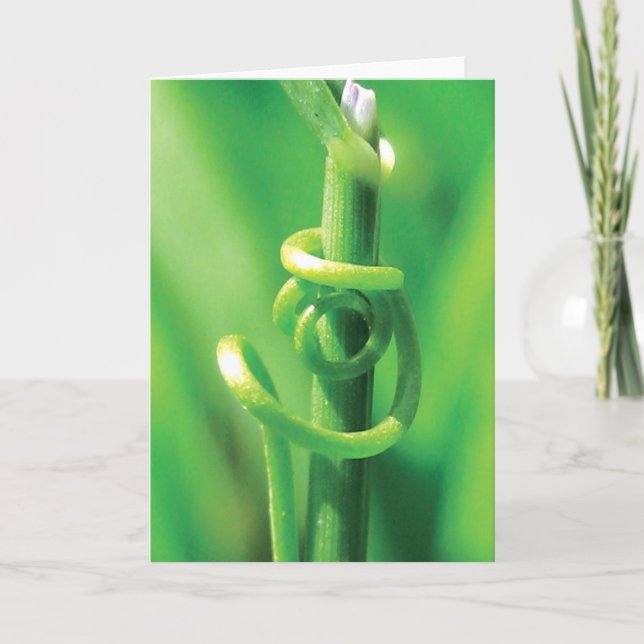 Lover's Embrace, Twisted Tendril Vine, ich vermiss Karte (Vorderseite)