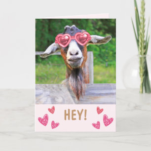 Lovestruck Goat Valentine's Day Feiertagskarte