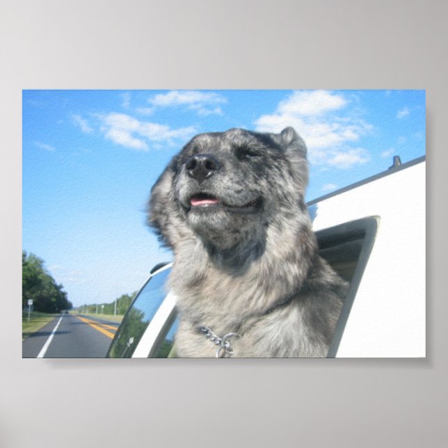 Lovin' Life Poster (Vorne)