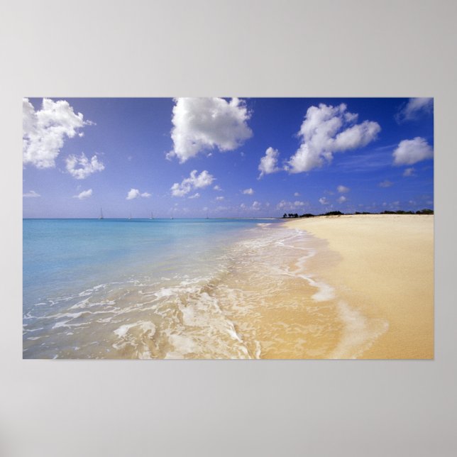 Low Bay Beach, Barbuda, Antigua Poster (Vorne)