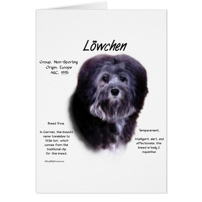 Löwchen History Design (Vorne)