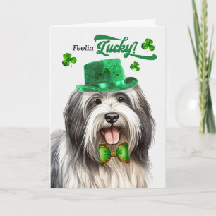 Lowchen-Hund fühlt sich am St. Patrick's Day glück Feiertagskarte