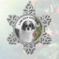 Lowchen-Hundemutter 