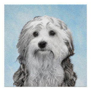 Lowchen Malerei - Niedliche Original Hunde Kunst Poster