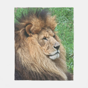 Löwe 001 fleecedecke