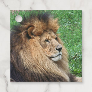 Löwe 001 geschenkanhänger