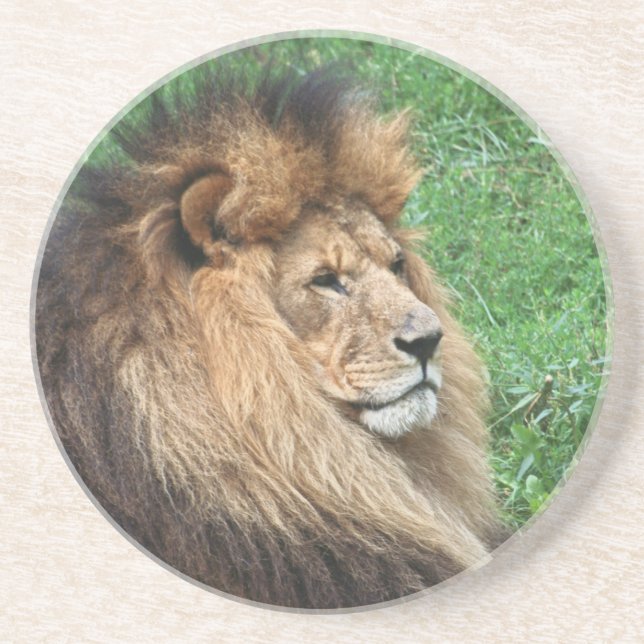 Löwe 001 getränkeuntersetzer (Vorne)
