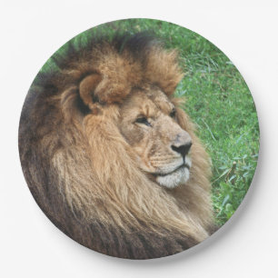 Löwe 001 pappteller