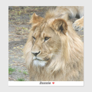 Löwe 011 aufkleber