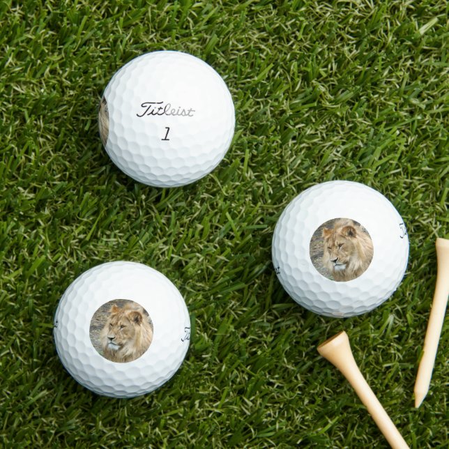 Löwe 011 golfball (Insitu Gras)