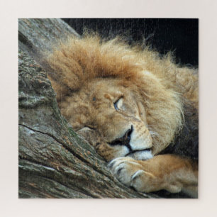 Löwe 013 von JAMFoto Puzzle