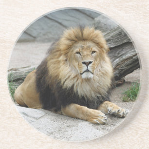 Löwe 020 getränkeuntersetzer