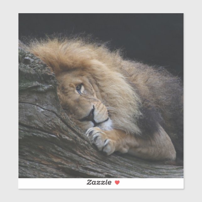 Löwe 030 aufkleber (Blatt)