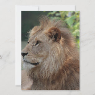 Löwe 035 feiertagskarte