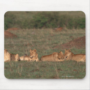 Löwe 4 mousepad