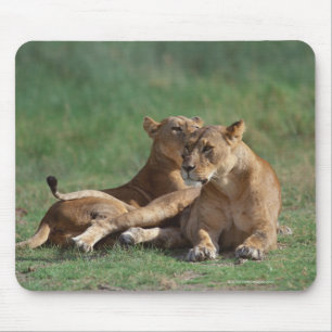 Löwe 5 mousepad