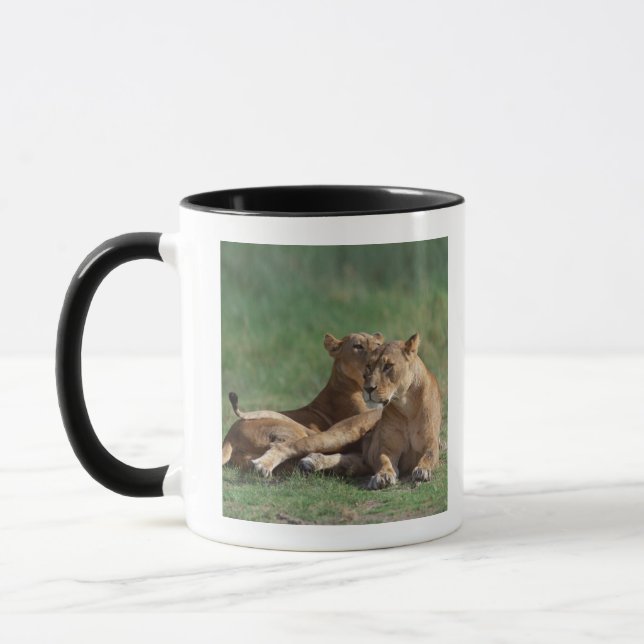 Löwe 5 tasse (Links)