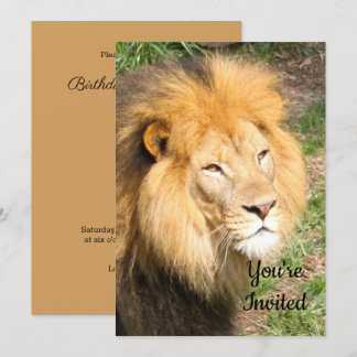 Löwe 6918 Einladung zum Geburtstag