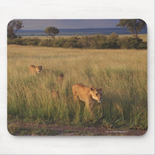Löwe 6 mousepad