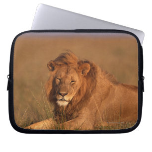 Löwe 8 laptopschutzhülle