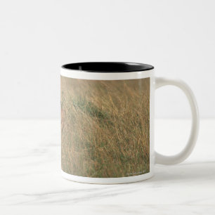 Löwe 9 zweifarbige tasse