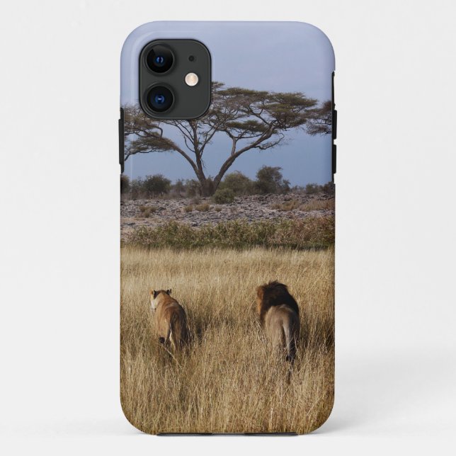Löwe africa iphone4 Fall Case-Mate iPhone Hülle (Rückseite)
