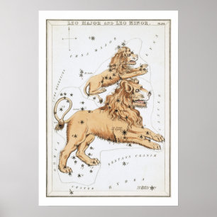 Löwe Astrologie Tierkreiszeichen Poster