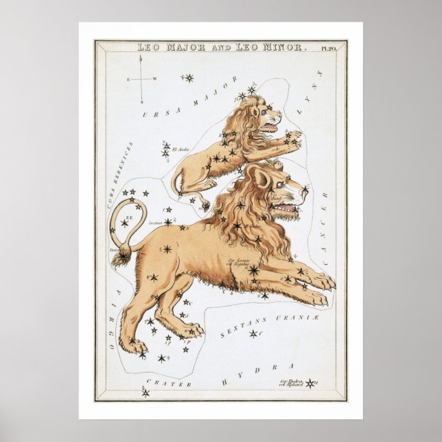 Löwe Astrologie Tierkreiszeichen Poster (Vorne)