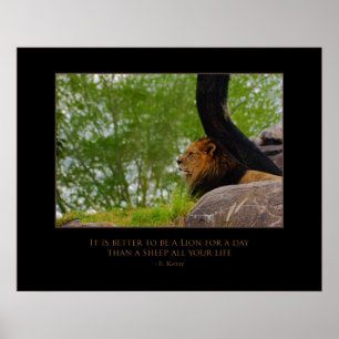 Löwe auf dem Berg Poster