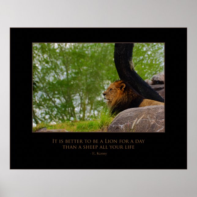 Löwe auf dem Berg Poster (Vorne)